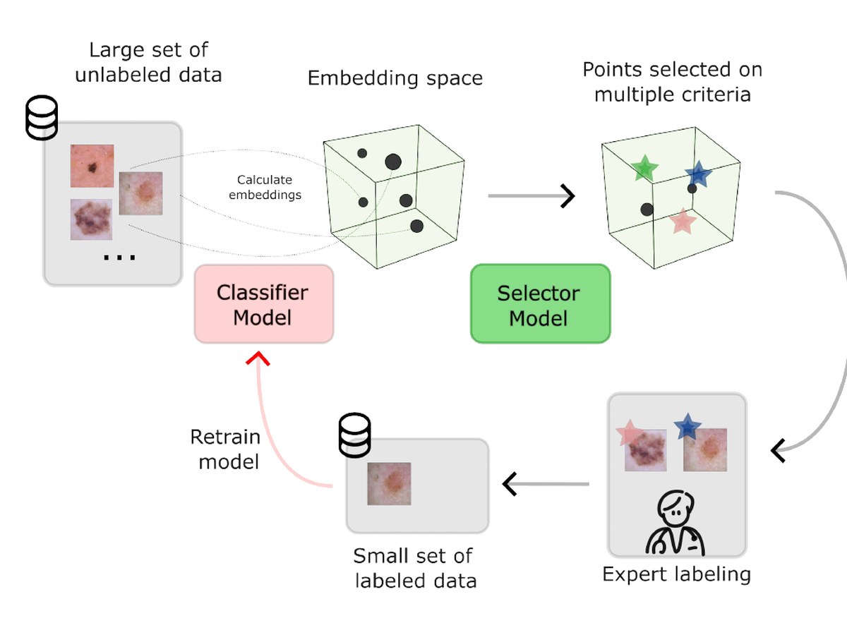 Batch active learning for skin lesions